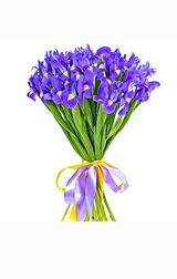 Blue mistery