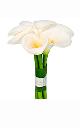 White tenderness
