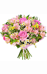 Warm wishes