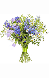 Sunny arrangement