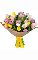 Amazing tulips